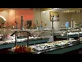 New China King Buffet Denton TX