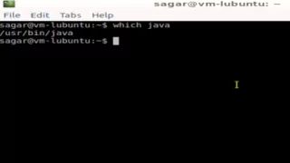 How to find where java is installed in Linux Mint