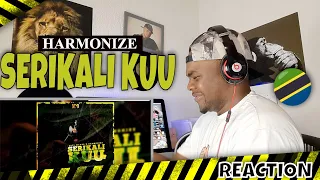 paul maker x harmonize serikali kuu official audio reaction