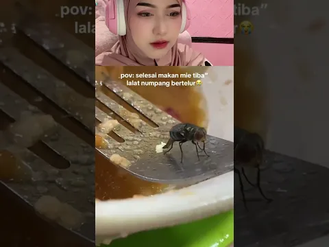 lalat nya numpang bertelur #stitchtricks