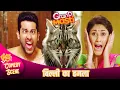 Download Lagu आखिर क्यों आफ़ताब के चूहे को बिल्ली ने काटा ?🤔🤣 | GRAND MASTI | AFATB SHIVDASNI COMEDY SCENE
