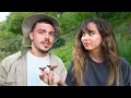 Download Lagu Wij gingen op jacht naar insecten.