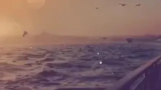 بنلف ف دواير حالات واتس  بنلف ف دواير حالات واتس
