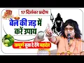 Lagu 17 दिसंबर प्रदोष, बेल की जड़ में करें उपाय, सम्पूर्ण सुख दे देंगे महादेव | Shri Kaushik Ji Maharaj