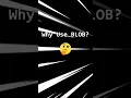 The BLOB Data Type Explained