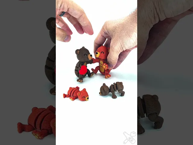 Magnetic Bear video thumbnail