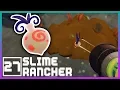 Slime Rancher Part 27 - Protect the Odd Onion