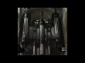 L’amour toujours - Gigi d’Agostino ( 1 hour Organ Penguin Mountain)