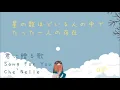 君に贈る歌 //Song For You// Che'Nelle//vitaminD//vietsub