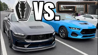 IS DARK HORSE is Faster Than a 2024 Mustang GT STOCK DRAG RACE RESULTS
