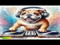 Download Lagu DJ Thunder \