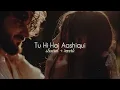 Download Lagu Tu Hi Hai Aashiqui (slowed + reverb)