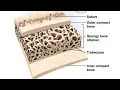 Classification of bones sesamoid bones short notes notes on bones structure