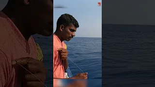 Catching Rosy Snapper & Bonito Fish in the Deep Sea #fishing #fishingvideos #fishingtime