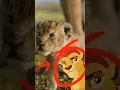 Download Lagu Who Is Simba’s Son In Mufasa The Lion King? #shorts #disney