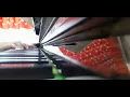 Fur Elise (Teacher's Choice) arranged by Allan Small