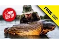 Download Lagu NASH 2015 DVD BOX SET Carp Fishing + Subtitles Complete Movie in 1080P