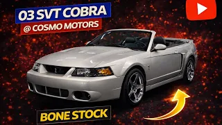 LOW MILE TERMINATOR WALK AROUND COSMO MOTORS