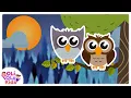 Download Lagu Burung Hantu - Lagu Anak Indonesia | Oli Ola Kids