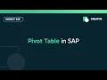 Pivot Table in SAP Insight Zap