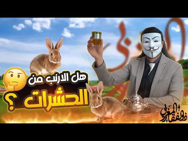 ⁣هل الارنب من الحشرات ؟