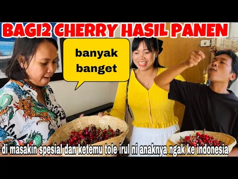 Download MP3 BAGI2 CHERRY HASIL PANEN & DI MASAKIN ENAK MALAH KETEMU TOLE IRUL TERNYATA TIDAK KE INDONESIA 😂