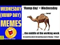 Todays Funny Memes - hump day meme Wednesday meme