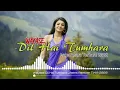 Download Lagu WAYASE DIL HAI TUMHARA JHEMS REMIXER T.M.R 2022