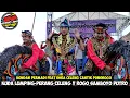 Download Lagu Perang Celeng Jaranan ROGO SAMBOYO PUTRO Feat SHAFIRA AUDIO Live Baye Kayen Kidul Kediri