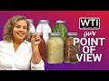 Our Point of View on Ball Regular Mouth Mason Jars From Amazon