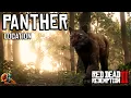 Panther Location - Red Dead Redemption 2