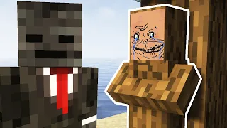 VILLAGER HIDE & SEEK!