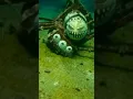 Download Lagu I Caught A Choo Choo Charles In Real Life Underwater! He's Completely DESTROYED?!