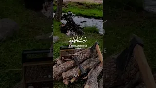 قرآن كريم حالات واتس اب بصوت القارئ محمد صديق المنشاوي 