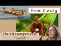 Download Lagu They drop BIOWEAPON TICK LARVAE from planes