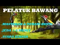 Lagu Masteran Suara Burung Pelatuk Bawang  || JEDA 1-2 MENIT