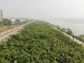 Download Lagu Sabarmati Riverfront Miyawaki Forest