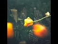 Summar Al Layali (Ouska Remix)
