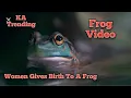 Women Gives birth To A Frog Of Frog On Twitter