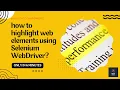 How to highlight web elements in salesforce using Selenium WebDriver