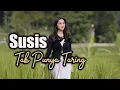 Download Lagu Lagu Joget Susis Remix Terbaru