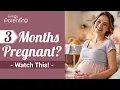 Download Lagu Hamil 3 Bulan - Perkembangan dan Gejala Bayi | Kehamilan 3 Bulan