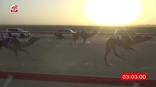 الشوط 3 شاهين لـ حمد محمد علي بن عويمر الدرعي 8 05 شارة الديوان 2025 11 9 إيذاع رماح 