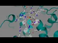 Celecoxib Celebrex and other COX-2 Selective Inhibitors