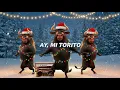 Lagu ay mi torito, muu, muu (tiktok) | MONTAGEM MIAU lyrics| (Letra) Official video