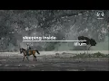 sleeping inside | lilium