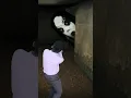 Mimpi Hantu Seram 😱 #shorts