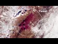 Rare Snow in the Sahara Desert Seen from Space
