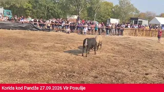 Uživo drugi krug Neum kod Dade
