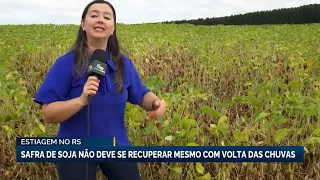Estiagem no RS | Safra de soja não deve se recuperar mesmo com volta das chuvas